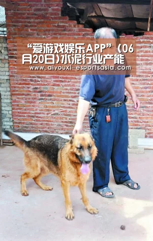 “爱游戏娱乐APP”(06月20日)水泥行业产能过剩问题的解题四步骤(图2) 爱游戏电竞赛事直播
