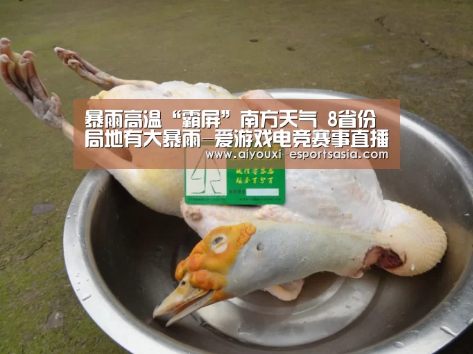 暴雨高温“霸屏”南方天气 8省份局地有大暴雨-爱游戏电竞赛事直播(图3) 爱游戏娱乐APP