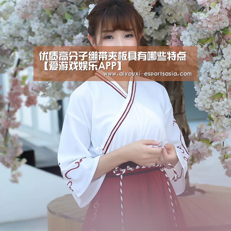 爱游戏电竞赛事直播
