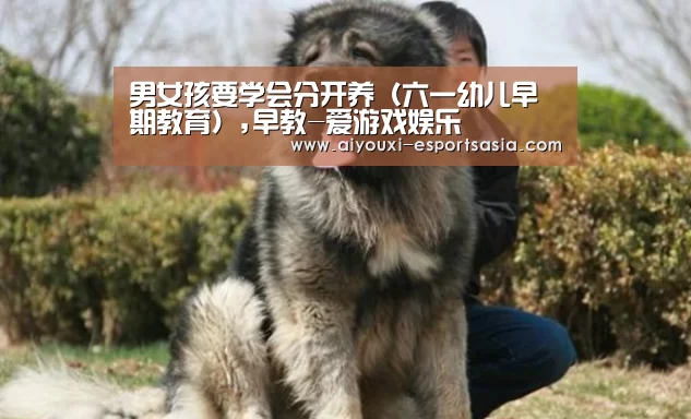 男女孩要学会分开养(六一幼儿早期教育),早教-爱游戏娱乐(图1) 爱游戏娱乐