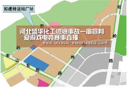 河北盛华化工燃爆事故一审宣判-爱游戏电竞赛事直播(图1) 爱游戏电竞赛事直播