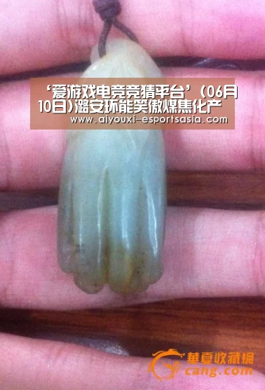 ‘爱游戏电竞竞猜平台’(06月10日)潞安环能笑傲煤焦化产业(图3) 爱游戏电竞赛事直播